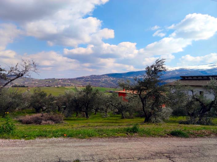 Image No.4-Land for sale