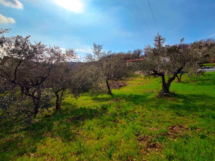 Image No.6-Land for sale