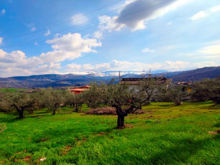 Image No.11-Land for sale