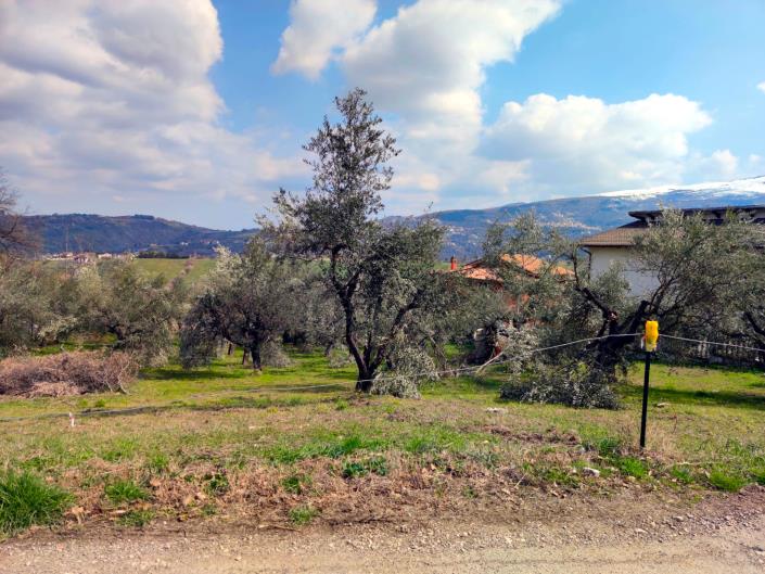 Image No.12-Land for sale