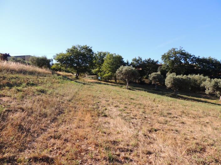 Image No.2-Land for sale