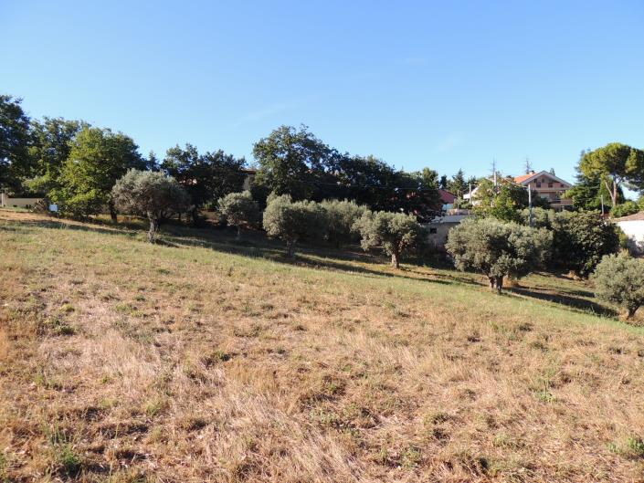 Image No.3-Land for sale