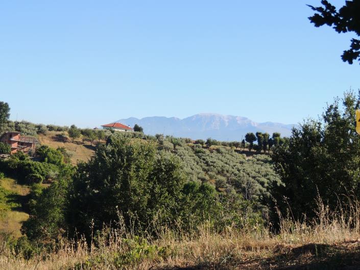 Image No.5-Land for sale