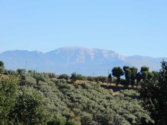 Image No.6-Land for sale