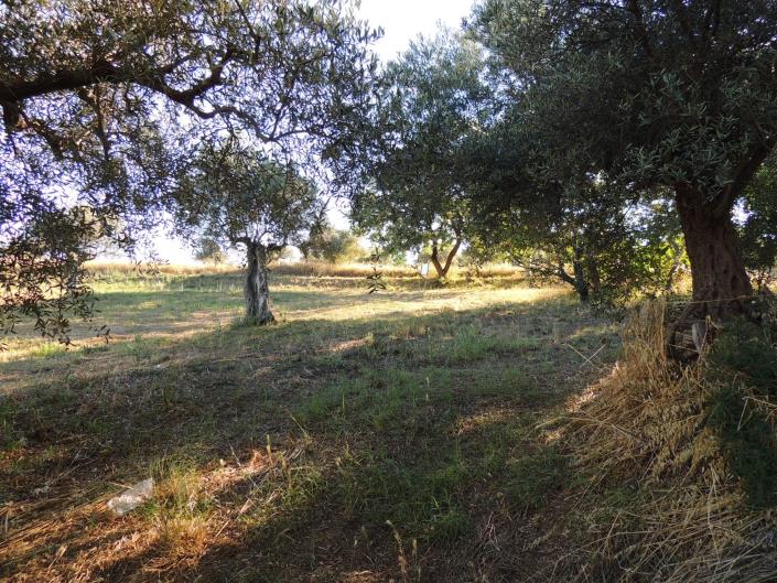 Image No.12-Land for sale