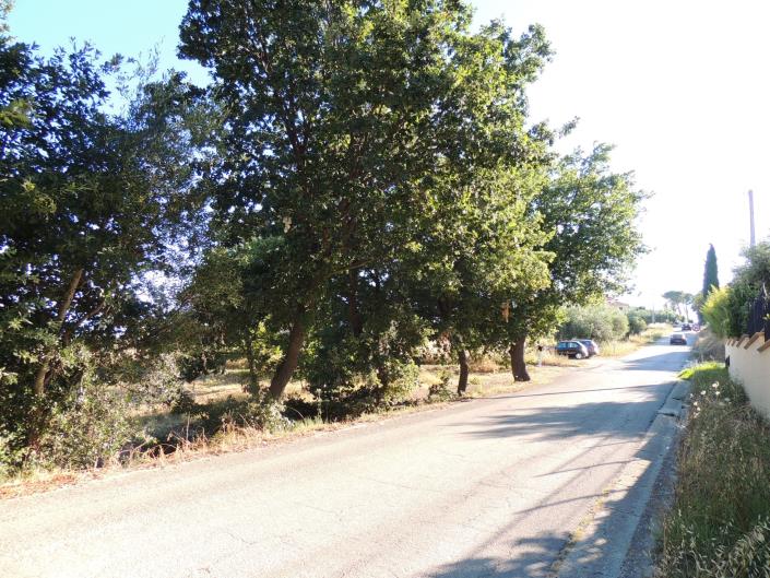 Image No.14-Land for sale