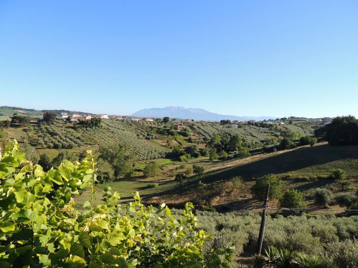 Image No.16-Land for sale