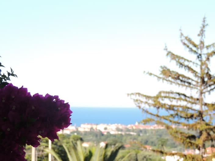 Image No.19-Land for sale