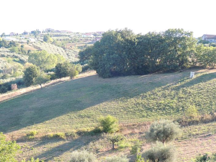 Image No.18-Land for sale