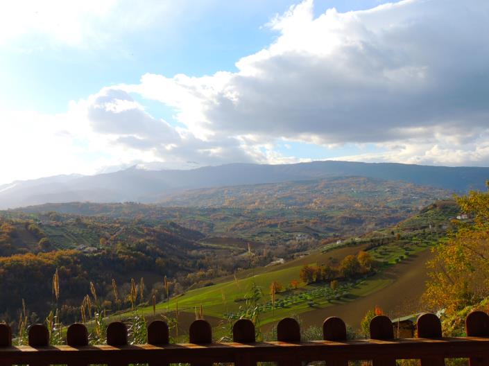 Image No.3-1 Bed House for sale