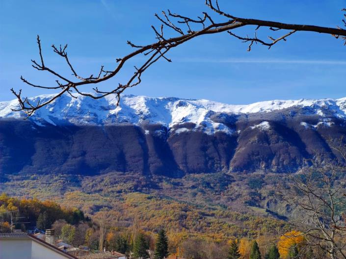 Image No.19-4 Bed House for sale