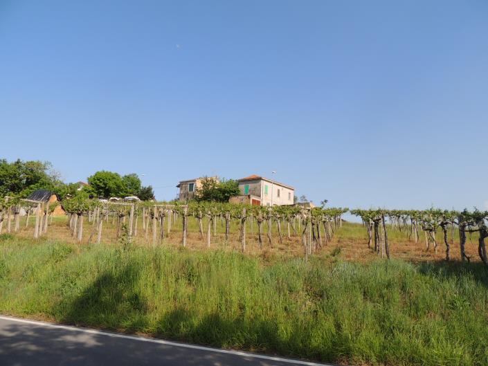 Image No.24-1 Bed Country House for sale