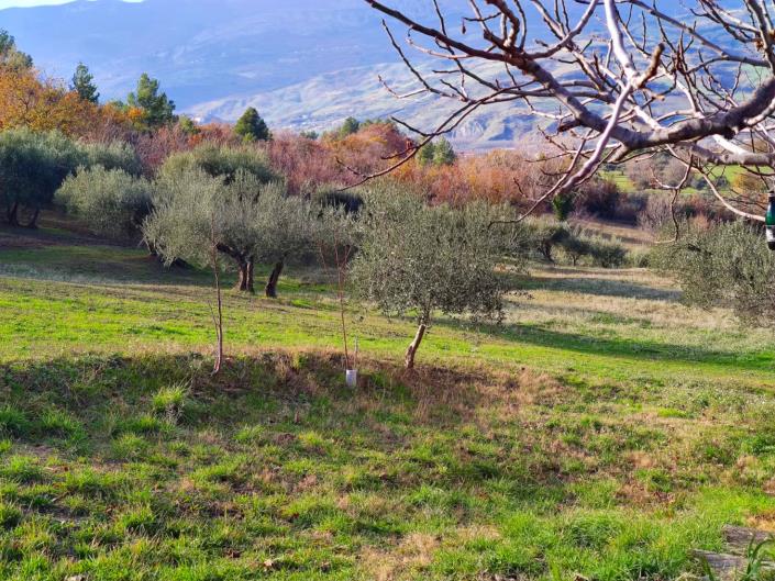 Image No.5-Land for sale