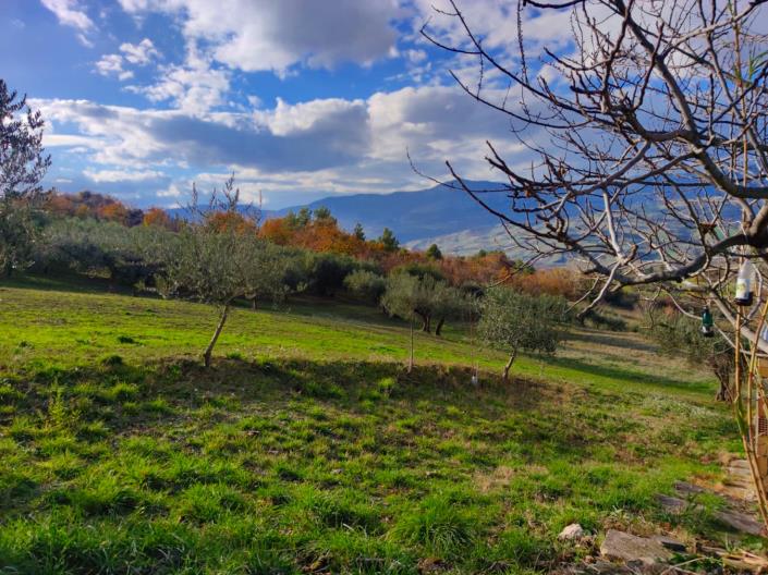 Image No.6-Land for sale