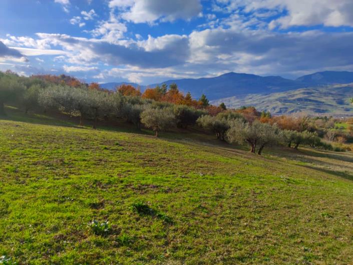 Image No.10-Land for sale