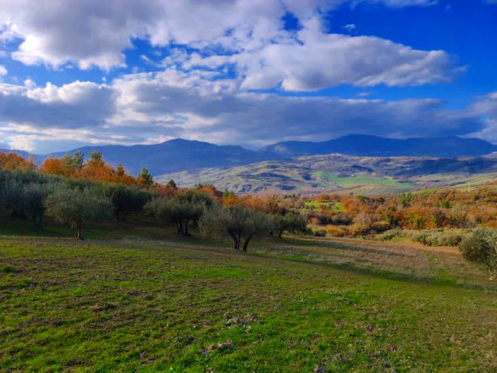 Image No.11-Land for sale