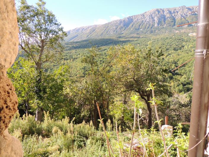 Image No.11-Property for sale