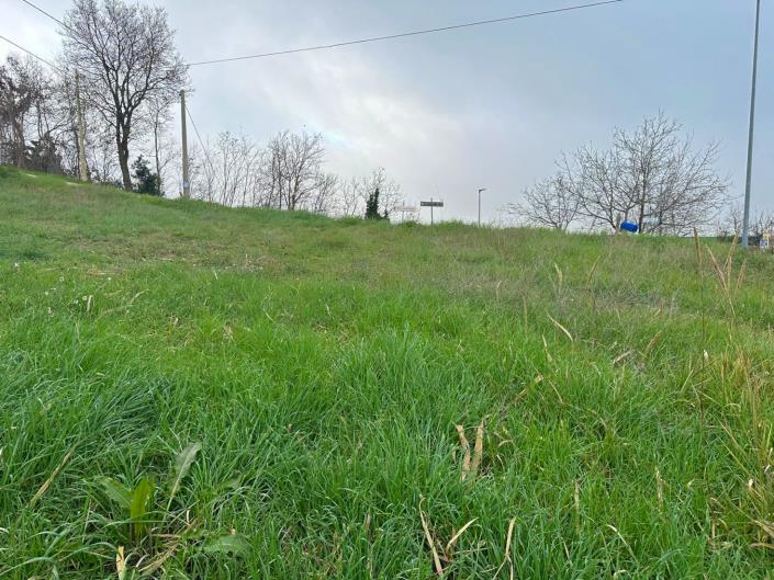 Image No.12-Land for sale