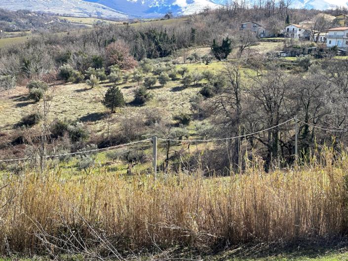 Image No.7-Land for sale