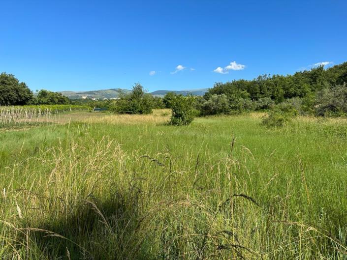 Image No.2-Land for sale