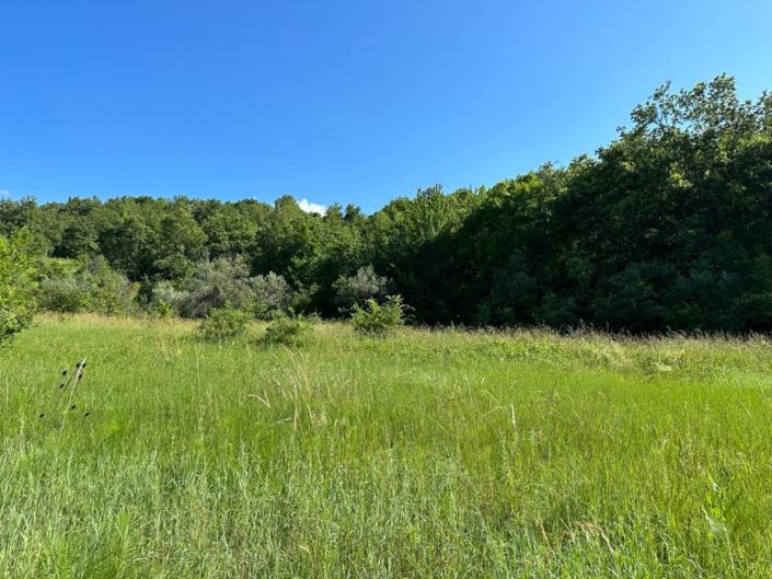 Image No.14-Land for sale