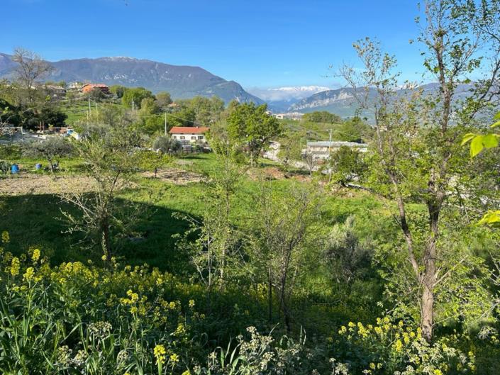 Image No.4-Land for sale