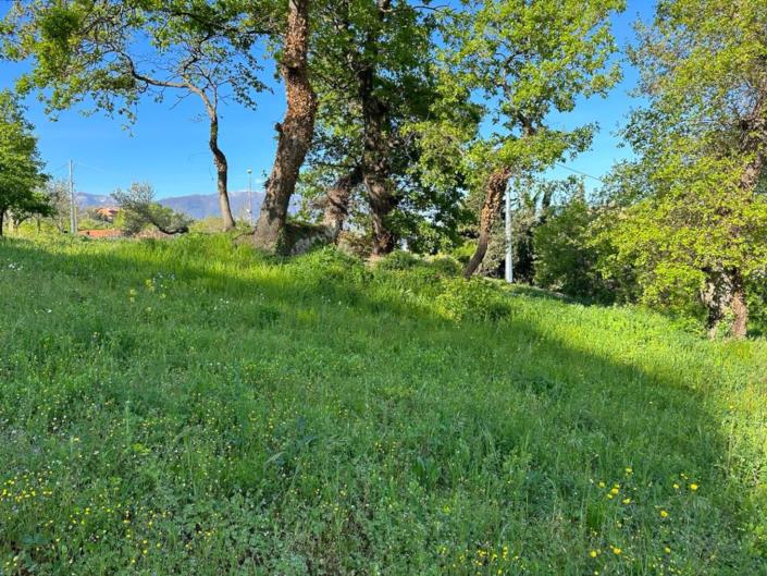 Image No.9-Land for sale