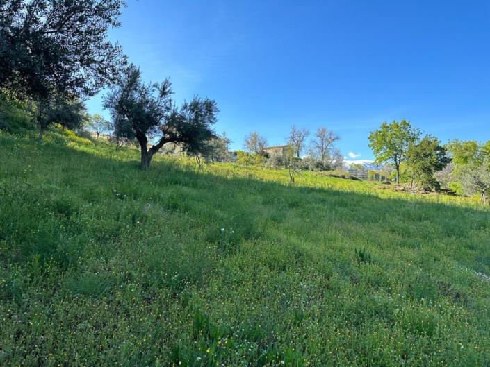 Image No.10-Land for sale