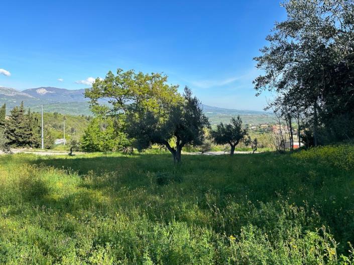 Image No.12-Land for sale