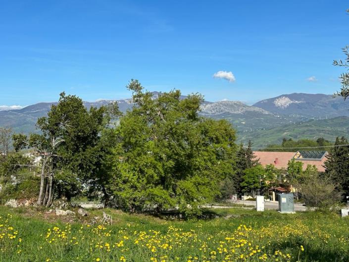 Image No.1-Land for sale