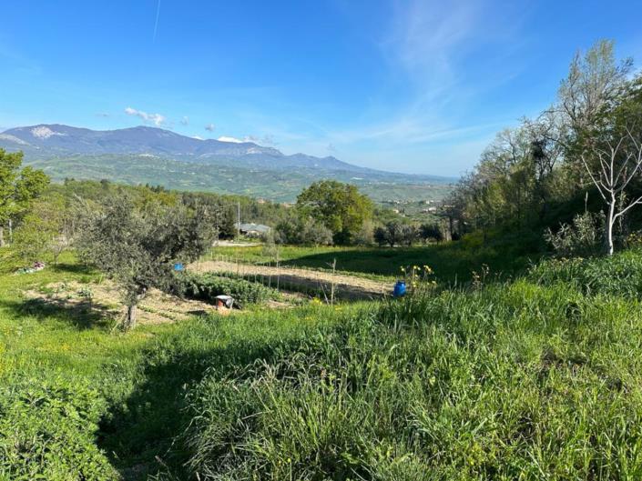 Image No.15-Land for sale