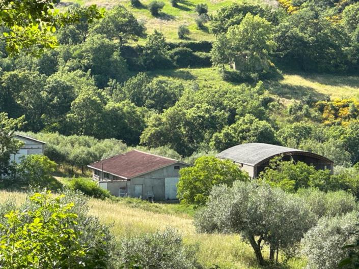 Image No.4-4 Bed Farmhouse for sale