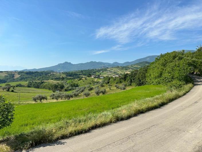 Image No.3-4 Bed House for sale