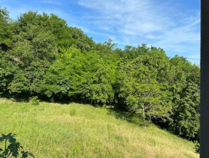 Image No.23-4 Bed House for sale