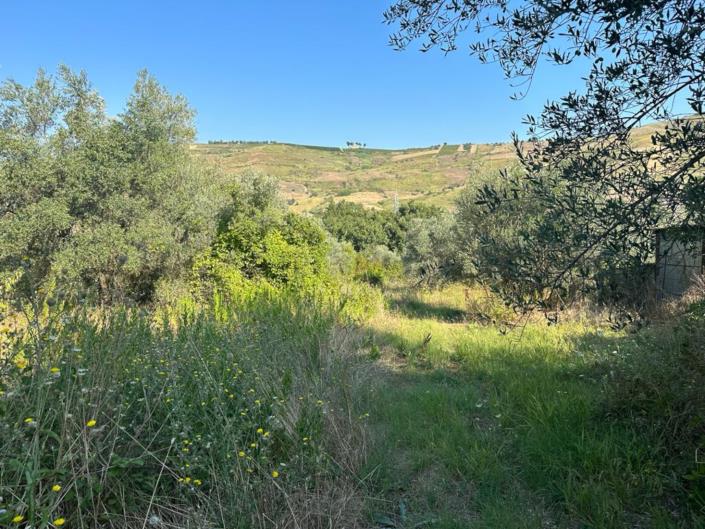 Image No.6-Land for sale