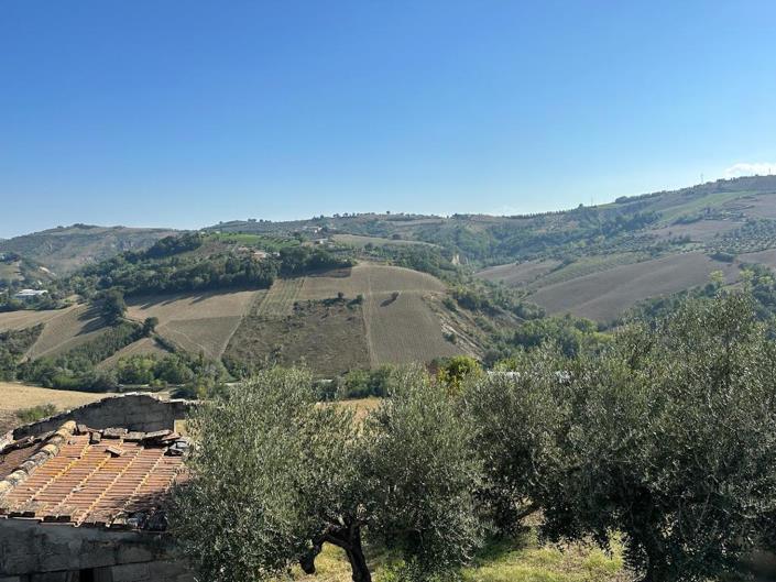 Image No.23-3 Bed Country House for sale