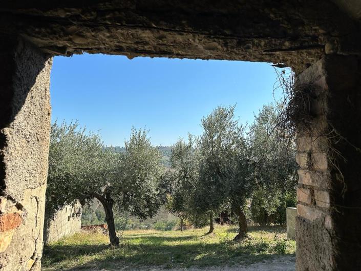 Image No.19-3 Bed Country House for sale