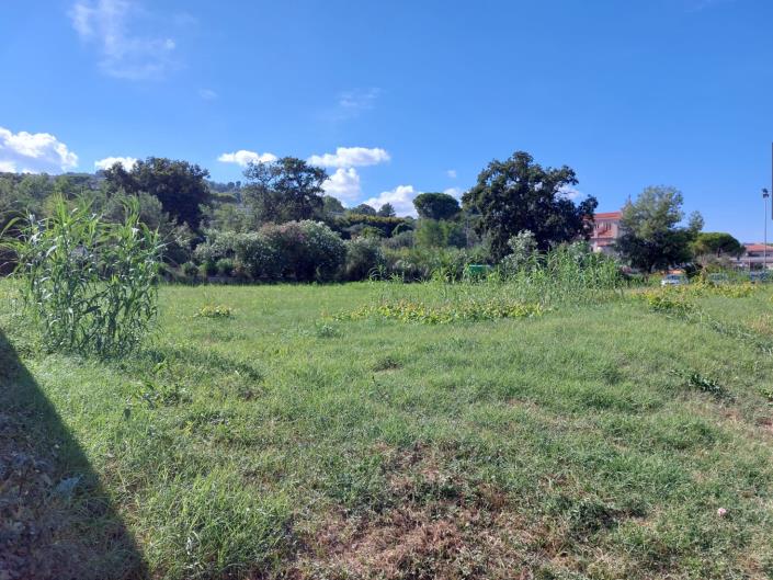 Image No.2-Land for sale