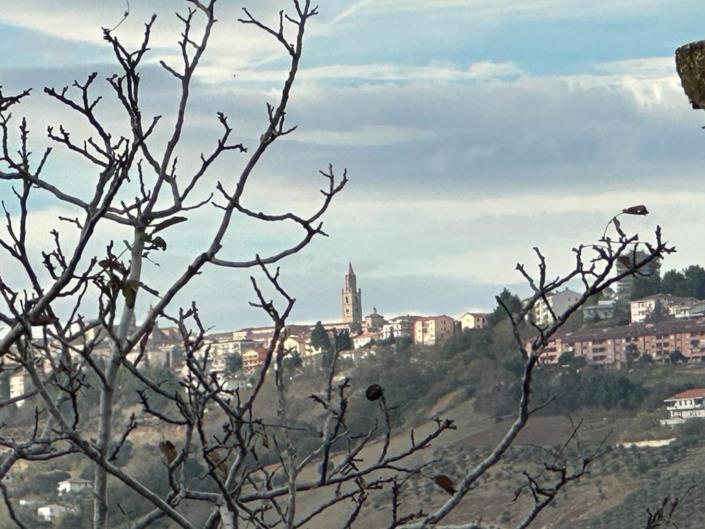 Image No.15-1 Bed House for sale