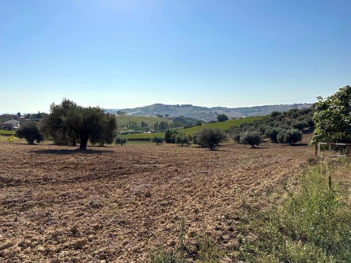 Image No.15-2 Bed Cottage for sale