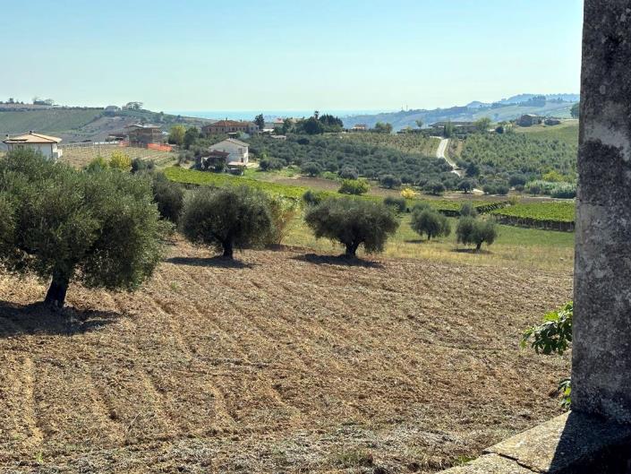 Image No.20-2 Bed Cottage for sale