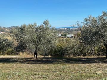 1 - Montesilvano, Land