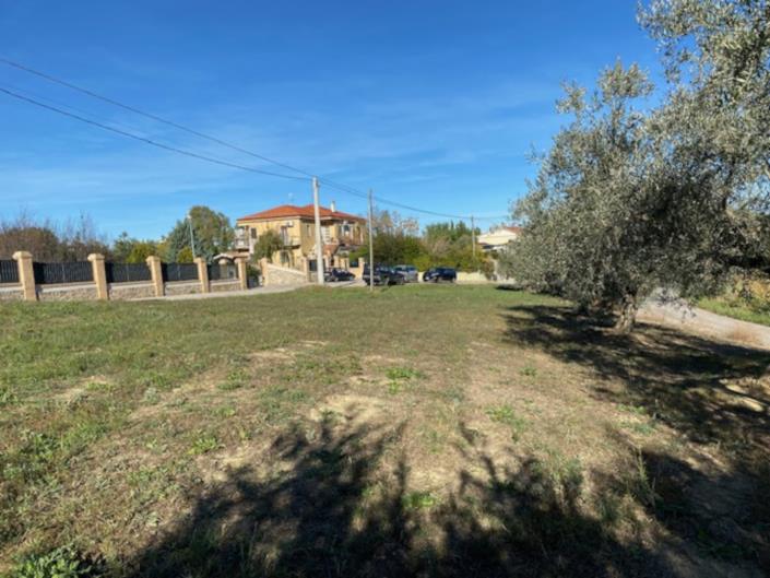 Image No.6-Land for sale