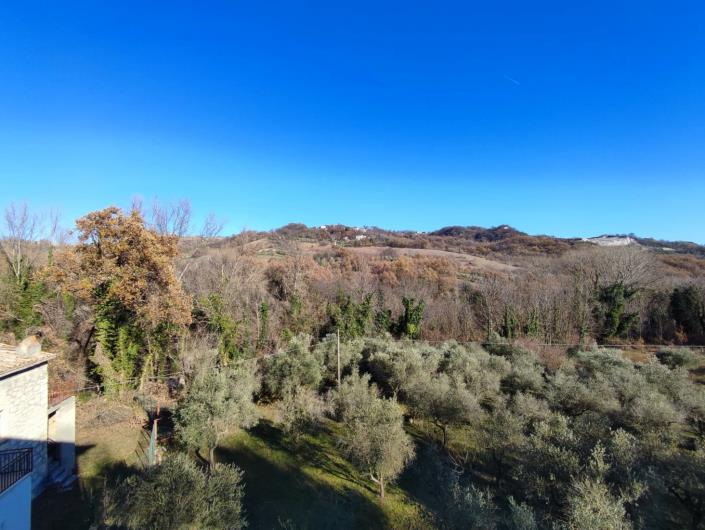 Image No.5-3 Bed Apartment for sale