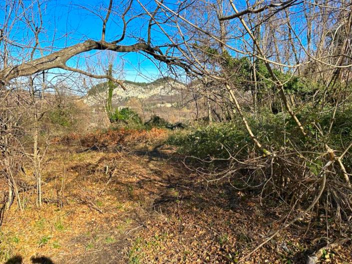 Image No.4-Farmhouse for sale