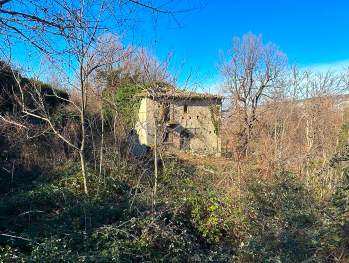 Image No.5-Farmhouse for sale