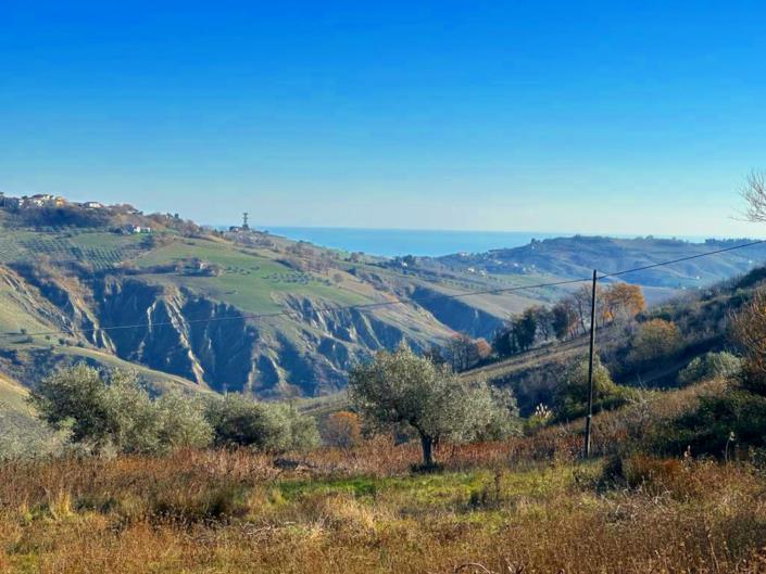 Image No.9-2 Bed Cottage for sale