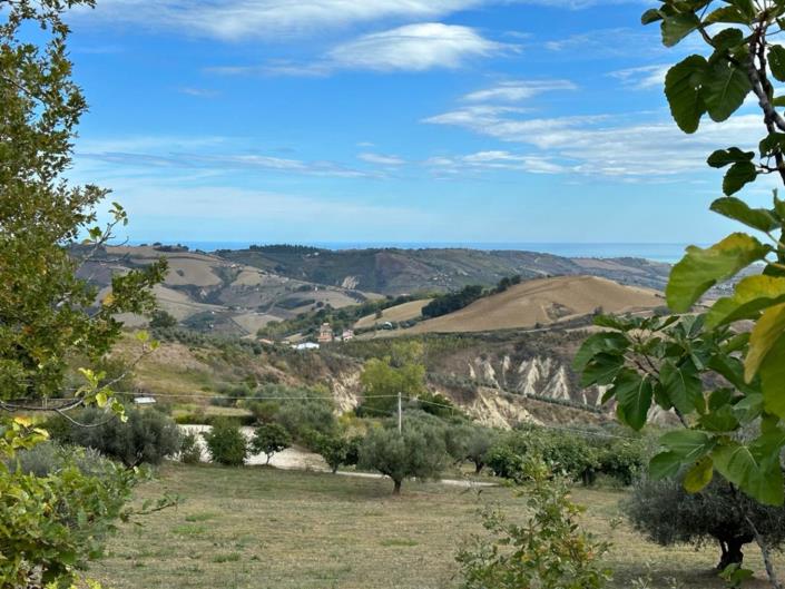 Image No.6-4 Bed Villa / Detached for sale