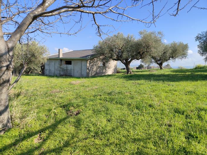 Image No.1-Land for sale