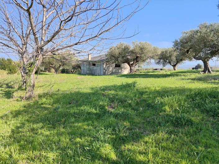 Image No.2-Land for sale